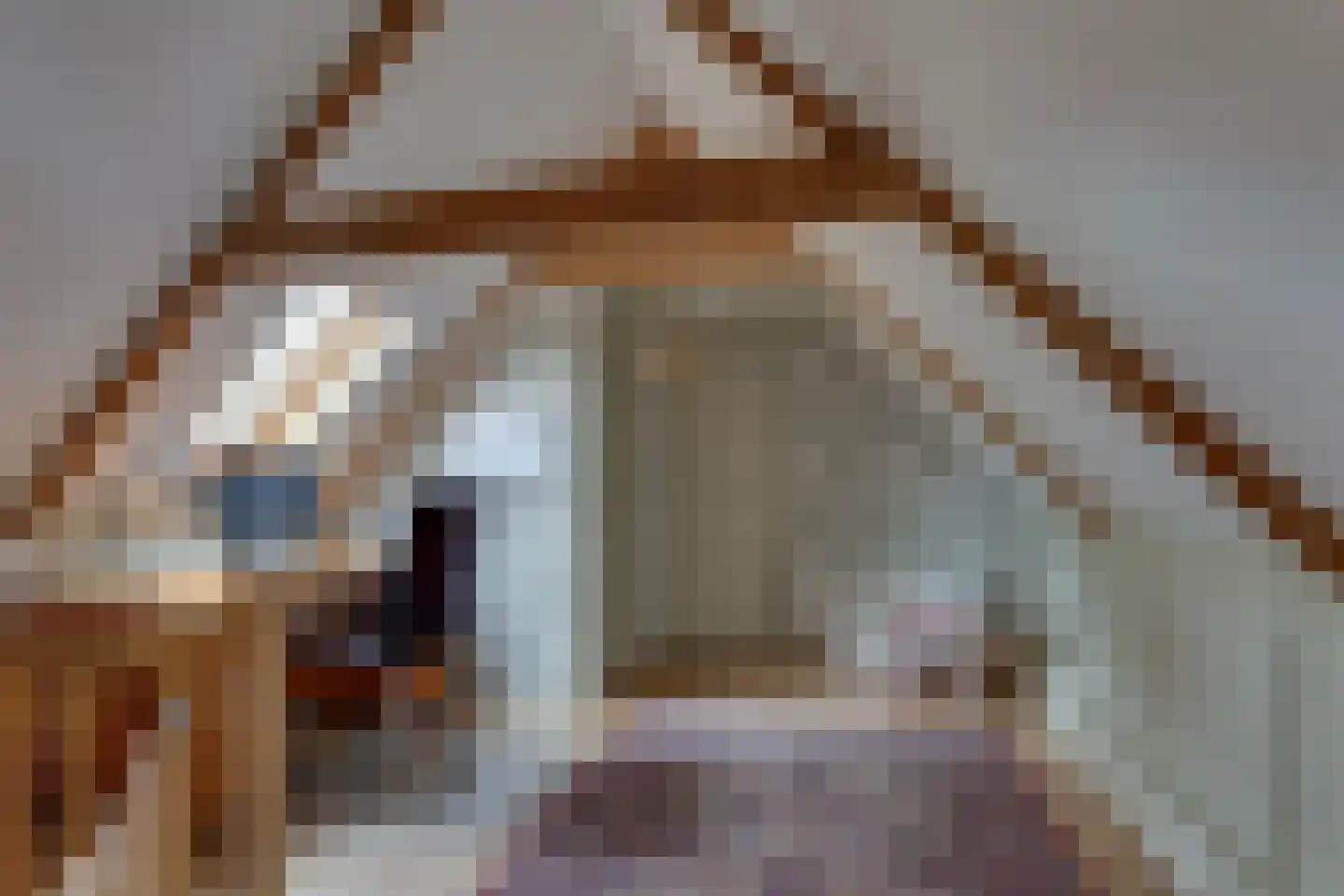 Gasthuislaan 6 Steenwijk thumbnail 16