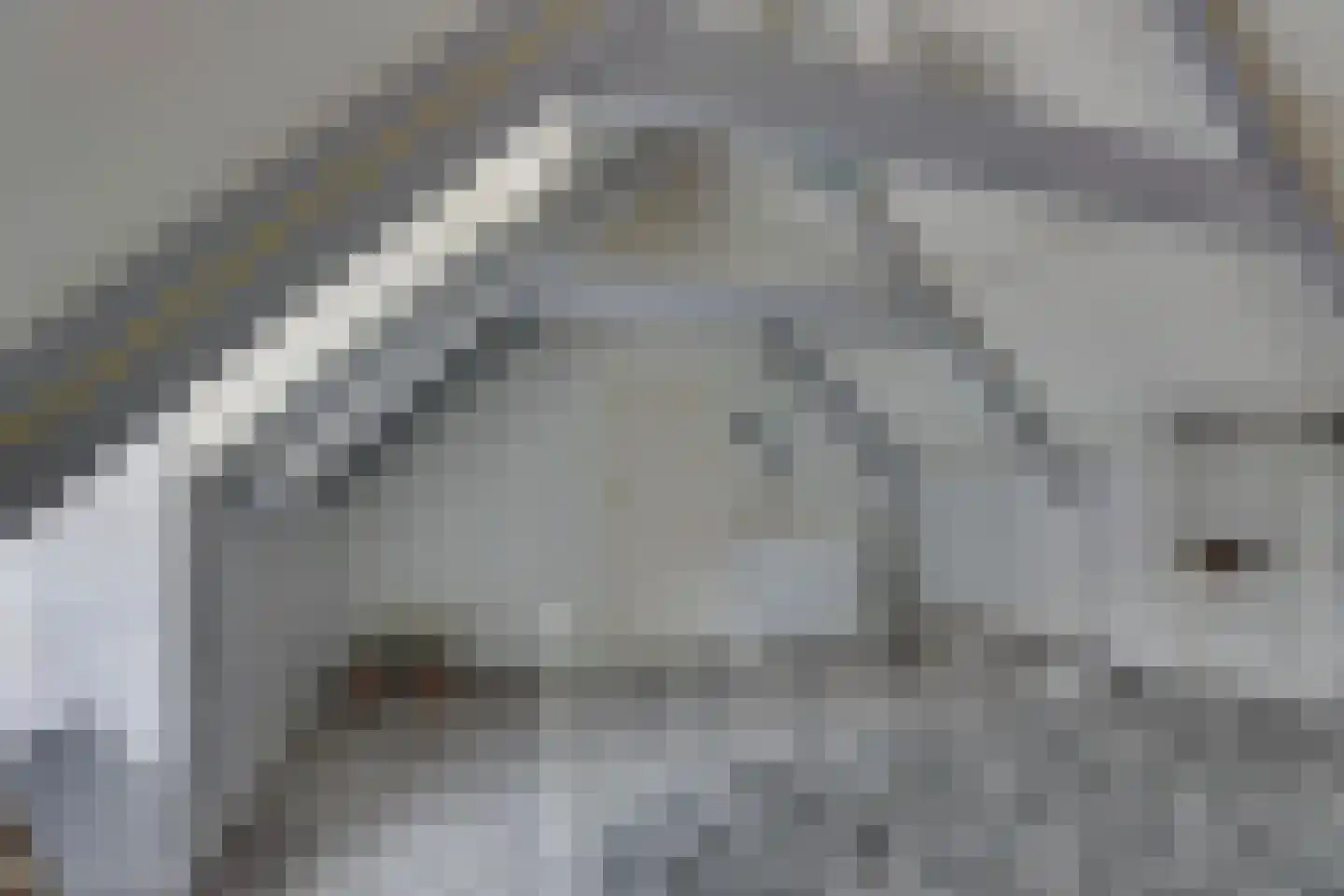 Gasthuislaan 6 Steenwijk thumbnail 20