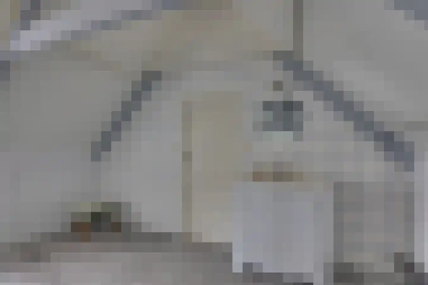 Gasthuislaan 6 Steenwijk thumbnail 21