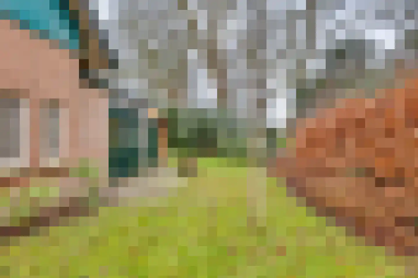 Gasthuislaan 6 Steenwijk thumbnail 24