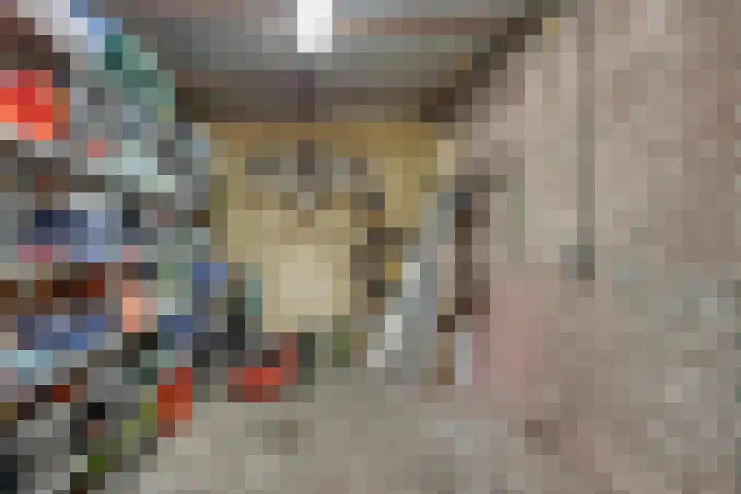 Gasthuislaan 6 Steenwijk thumbnail 26
