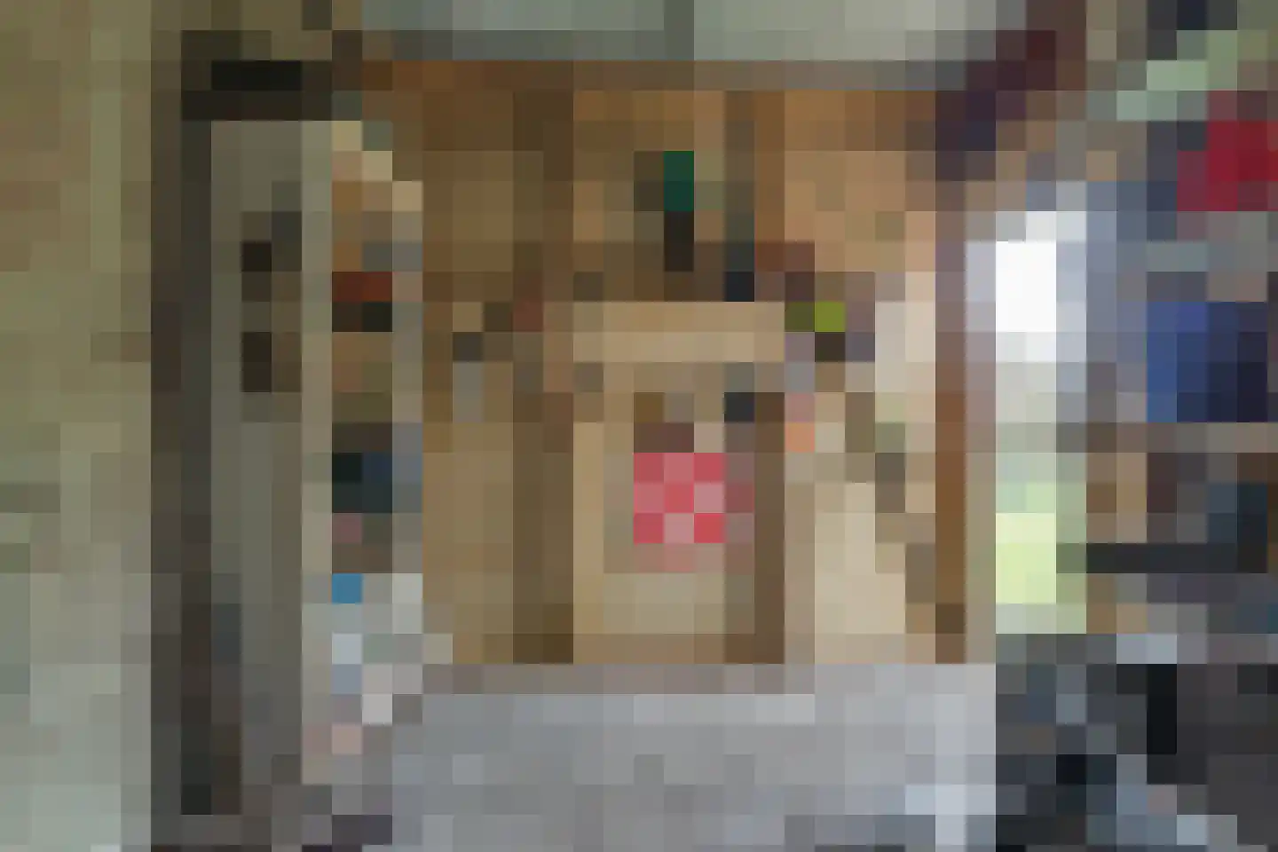 Gasthuislaan 6 Steenwijk thumbnail 27