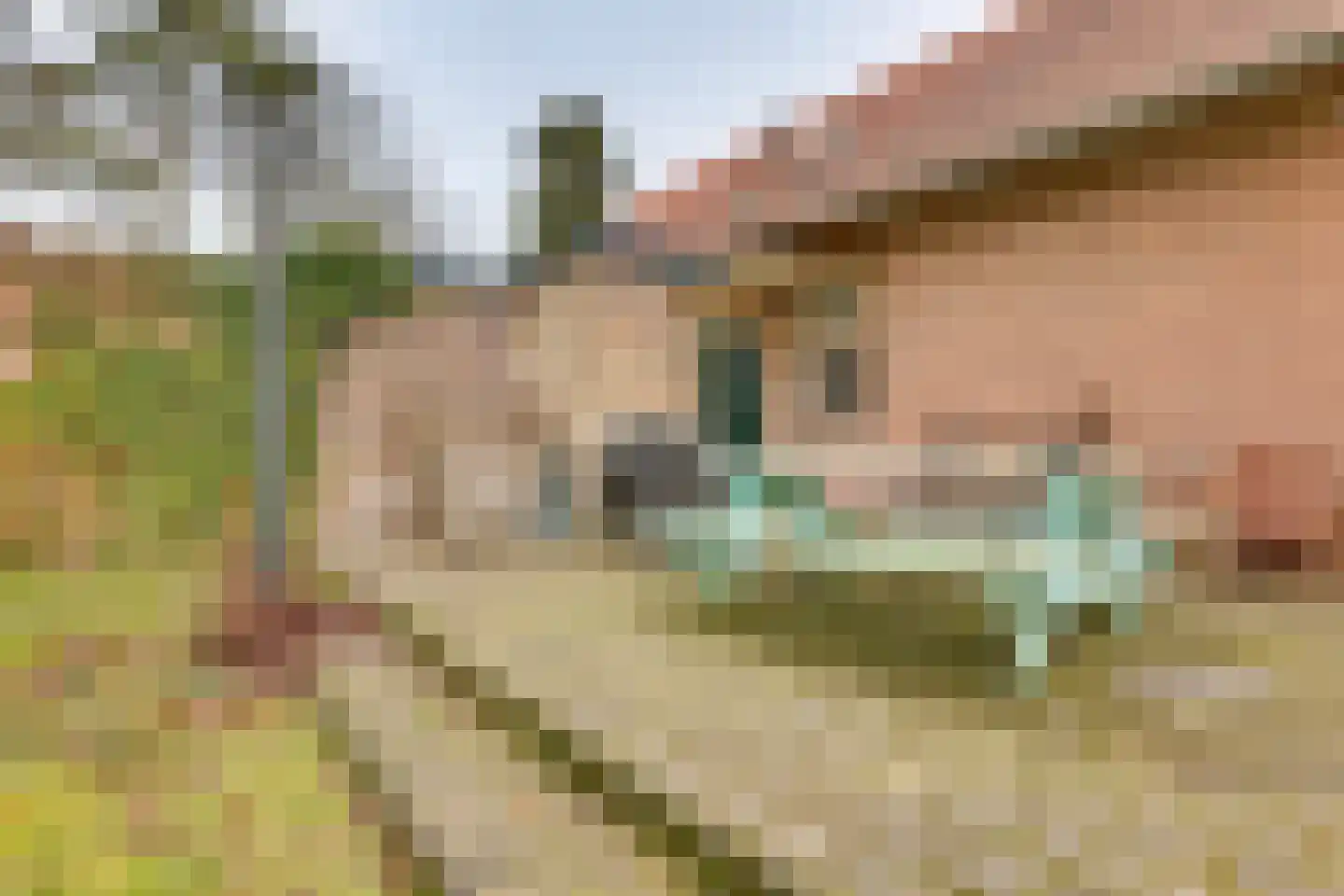 Gasthuislaan 6 Steenwijk thumbnail 30
