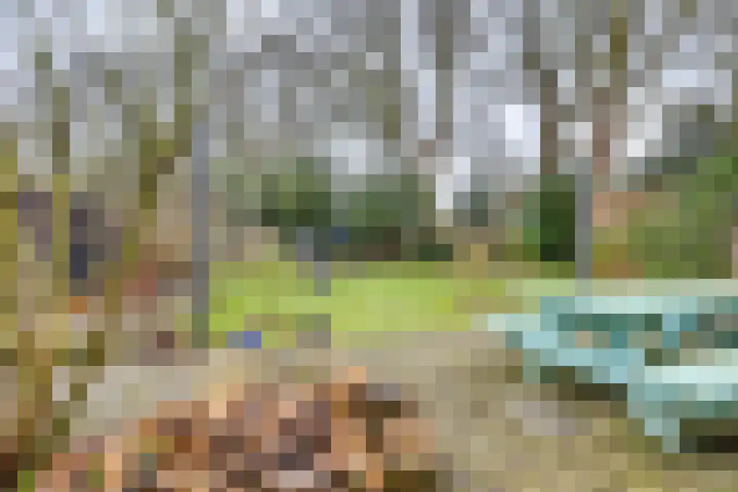 Gasthuislaan 6 Steenwijk thumbnail 31