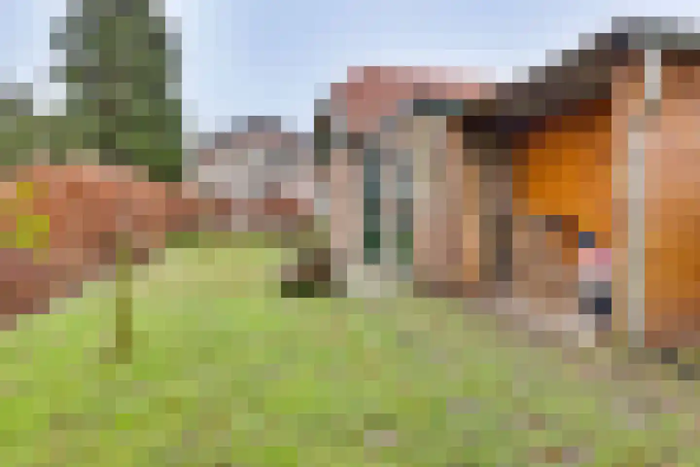 Gasthuislaan 6 Steenwijk thumbnail 33