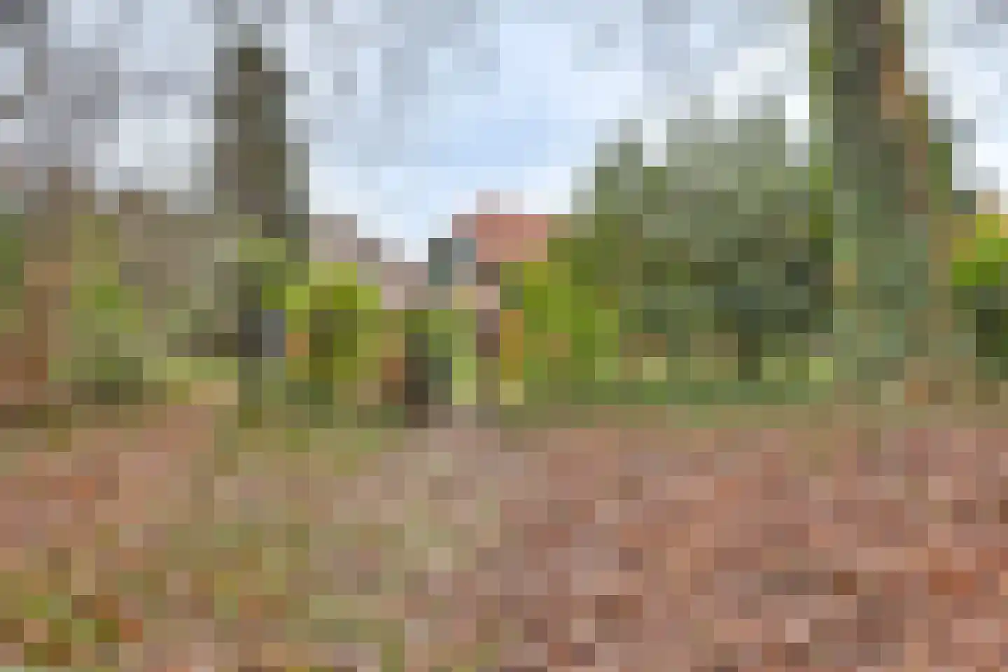 Gasthuislaan 6 Steenwijk thumbnail 35