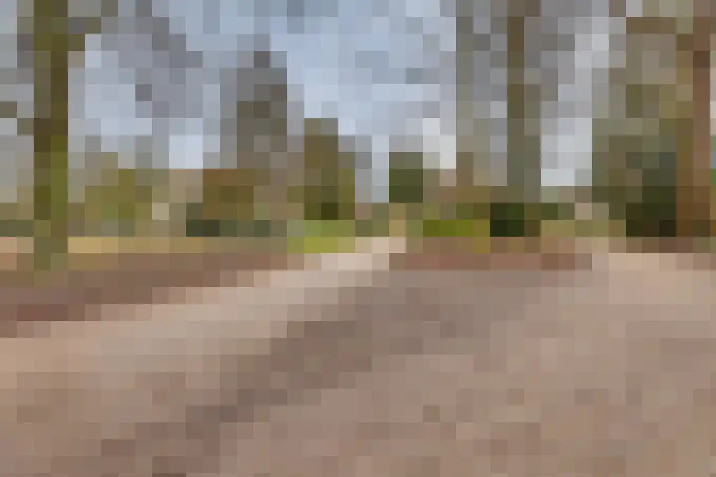 Gasthuislaan 6 Steenwijk thumbnail 41