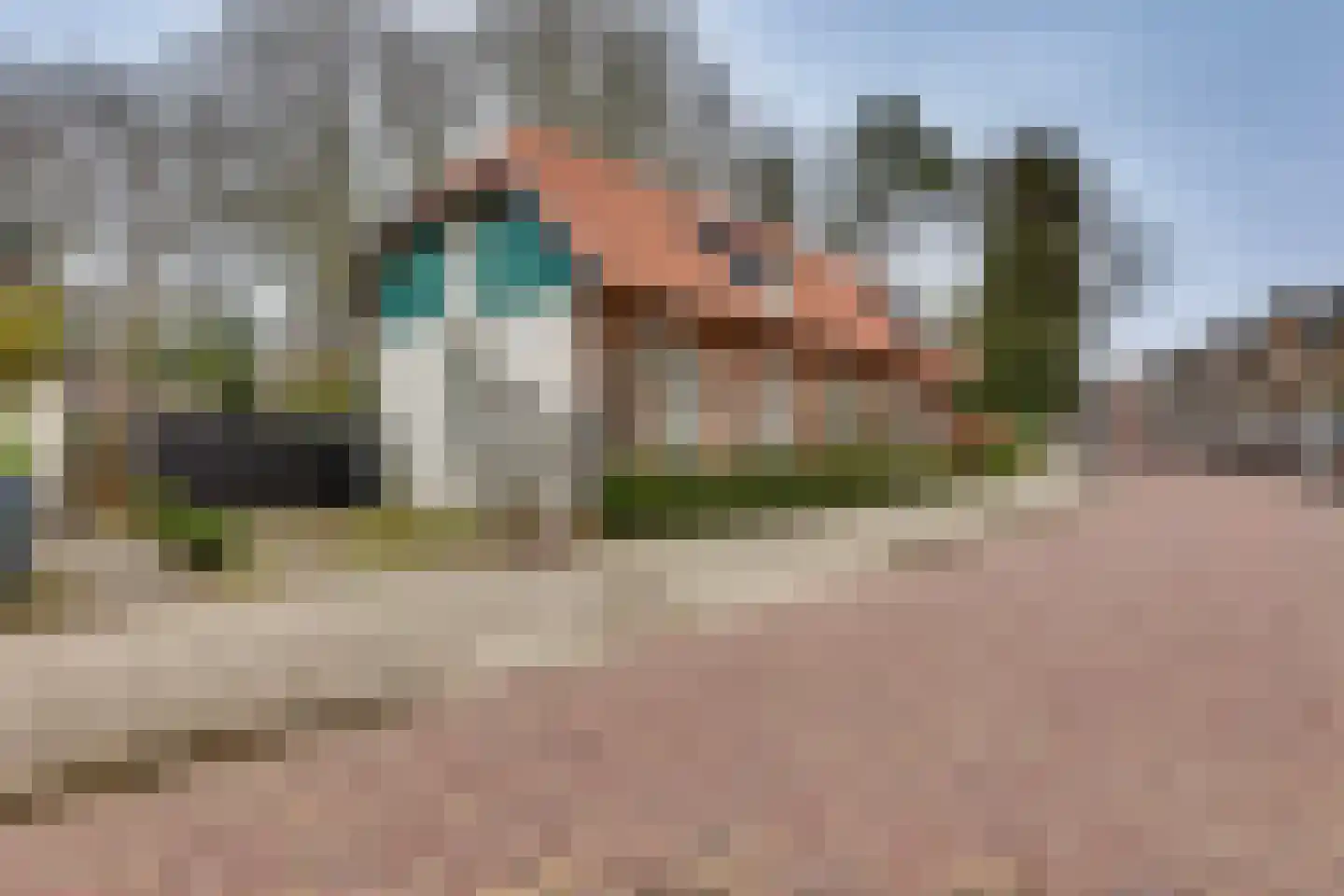 Gasthuislaan 6 Steenwijk thumbnail 43