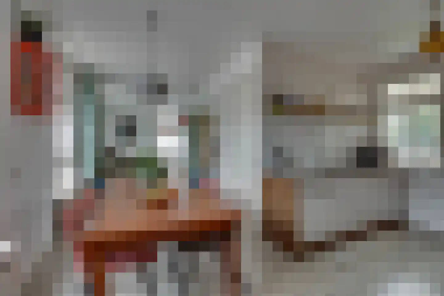 Gasthuislaan 6 Steenwijk thumbnail 8