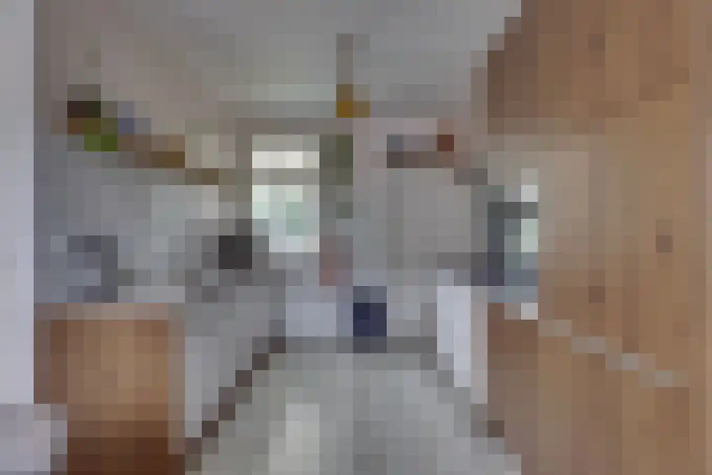 Gasthuislaan 6 Steenwijk thumbnail 9