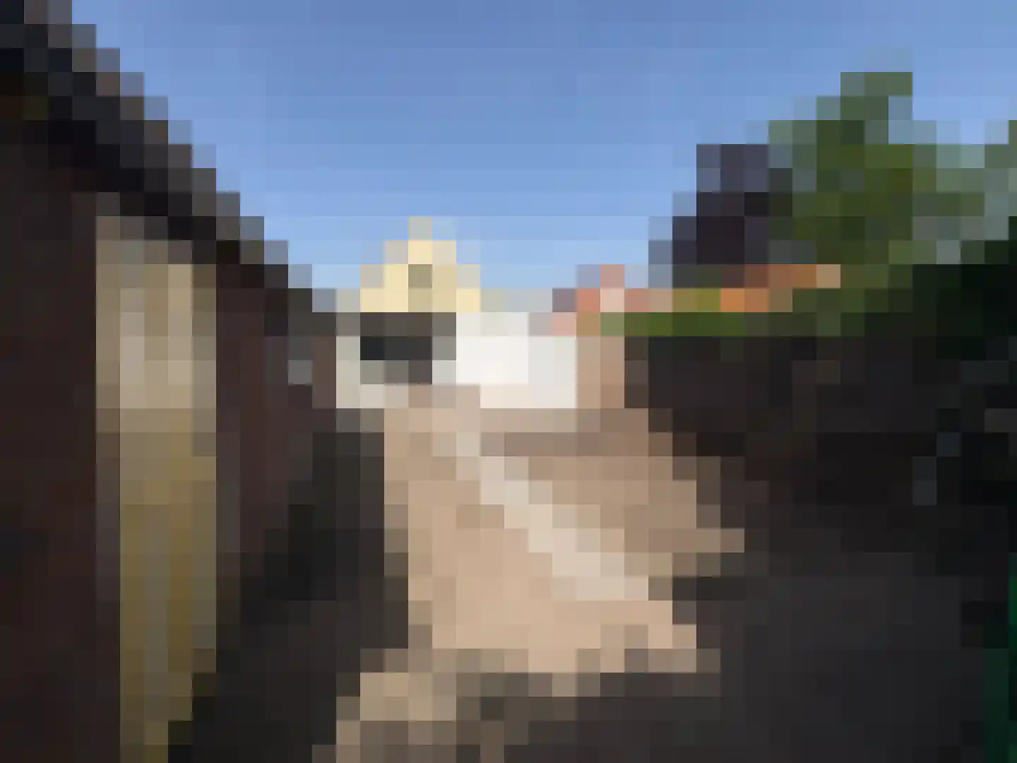 Gasthuislaan 6 Winschoten thumbnail 37