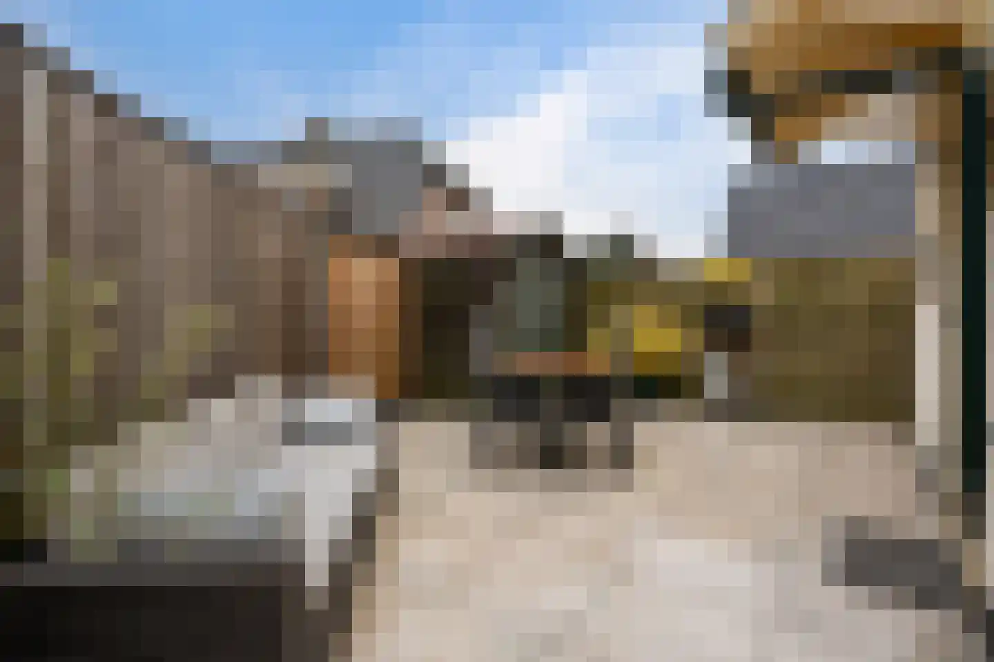 Gasthuislaan 65 Steenwijk thumbnail 25