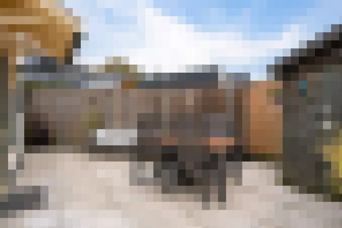 Gasthuislaan 65 Steenwijk thumbnail 26