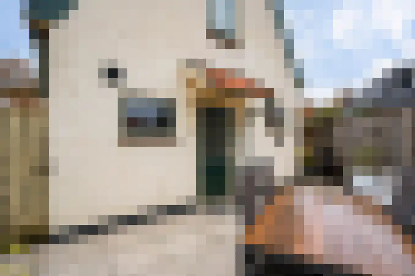 Gasthuislaan 65 Steenwijk thumbnail 27