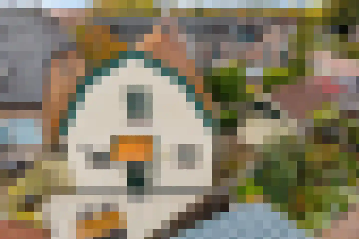 Gasthuislaan 65 Steenwijk thumbnail 35