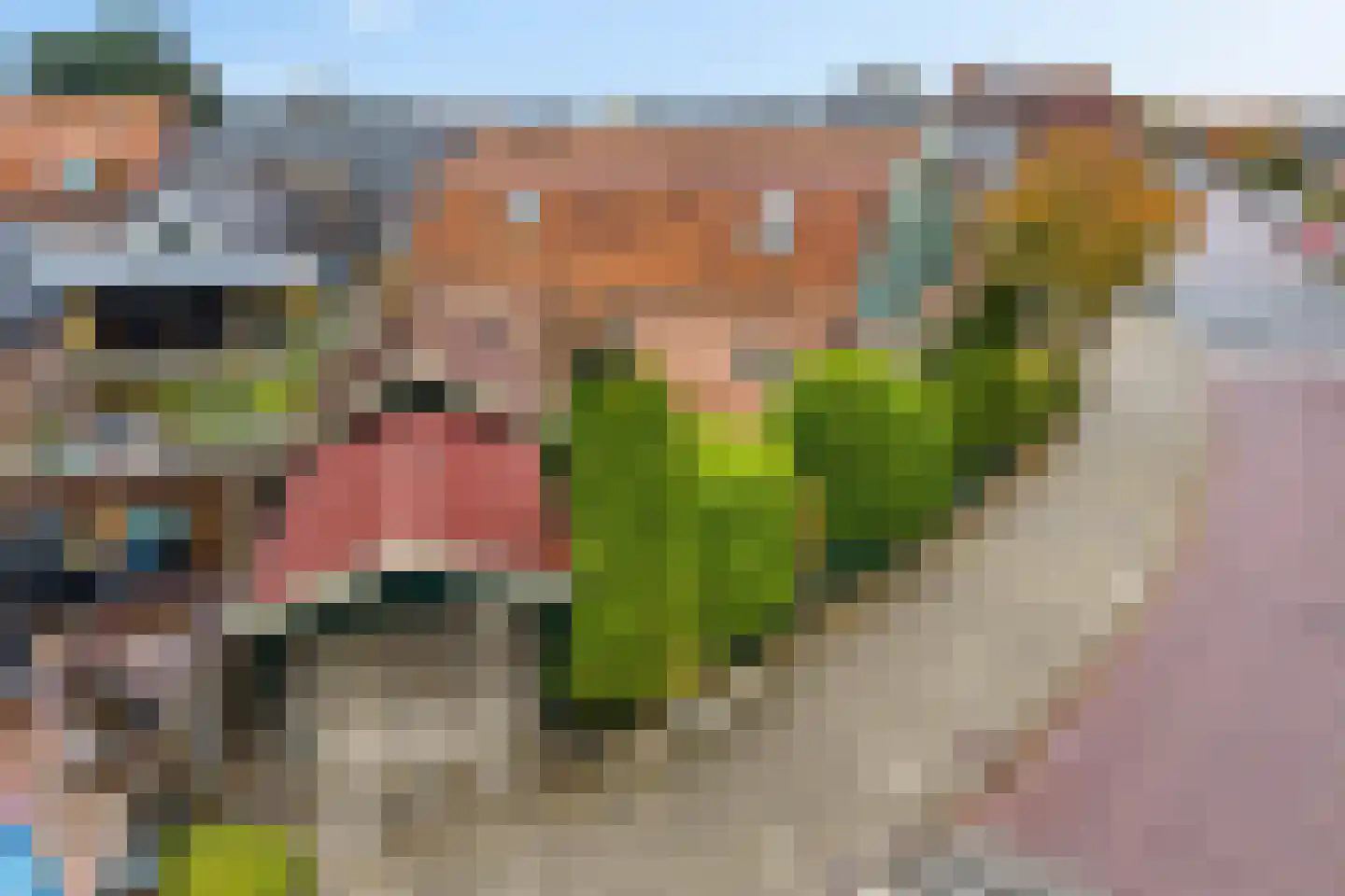 Gasthuislaan 65 Steenwijk thumbnail 36