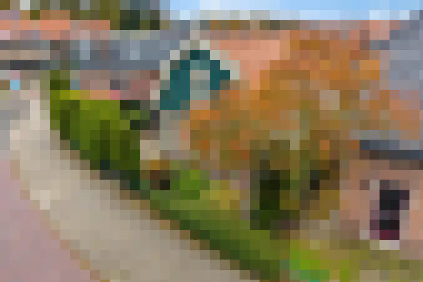 Gasthuislaan 65 Steenwijk thumbnail 37