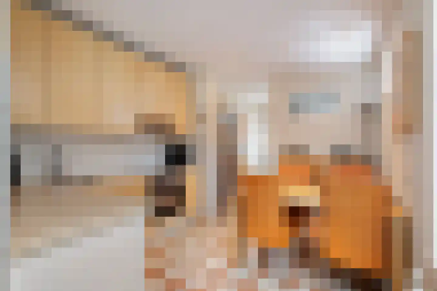 Gasthuislaan 65 Steenwijk thumbnail 8