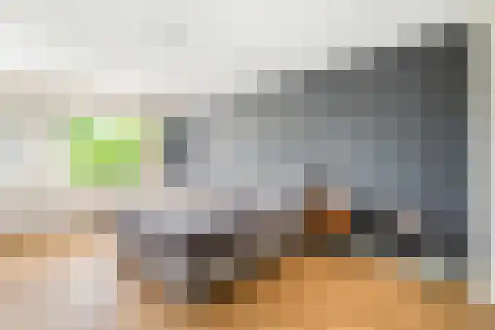 Gasthuislaan 66 Amersfoort thumbnail 17