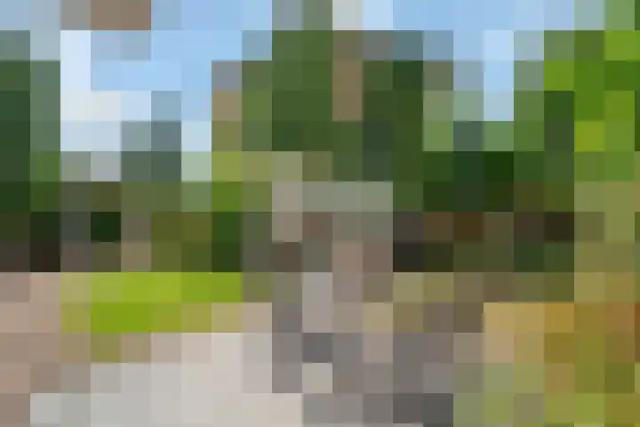 Gasthuislaan 66 Amersfoort thumbnail 32