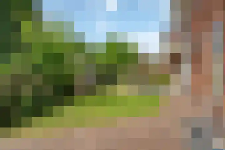 Gasthuislaan 66 Amersfoort thumbnail 33