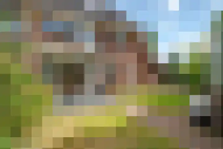 Gasthuislaan 66 Amersfoort thumbnail 34