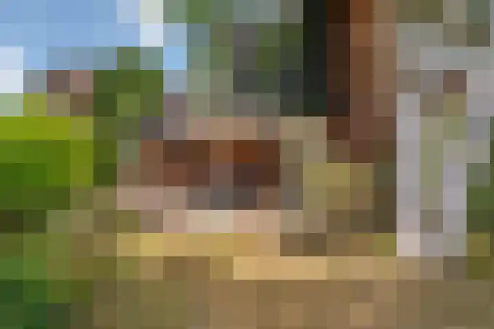 Gasthuislaan 66 Amersfoort thumbnail 37