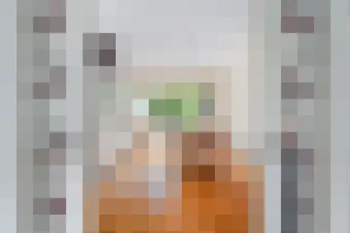 Gasthuislaan 66 Amersfoort thumbnail 8