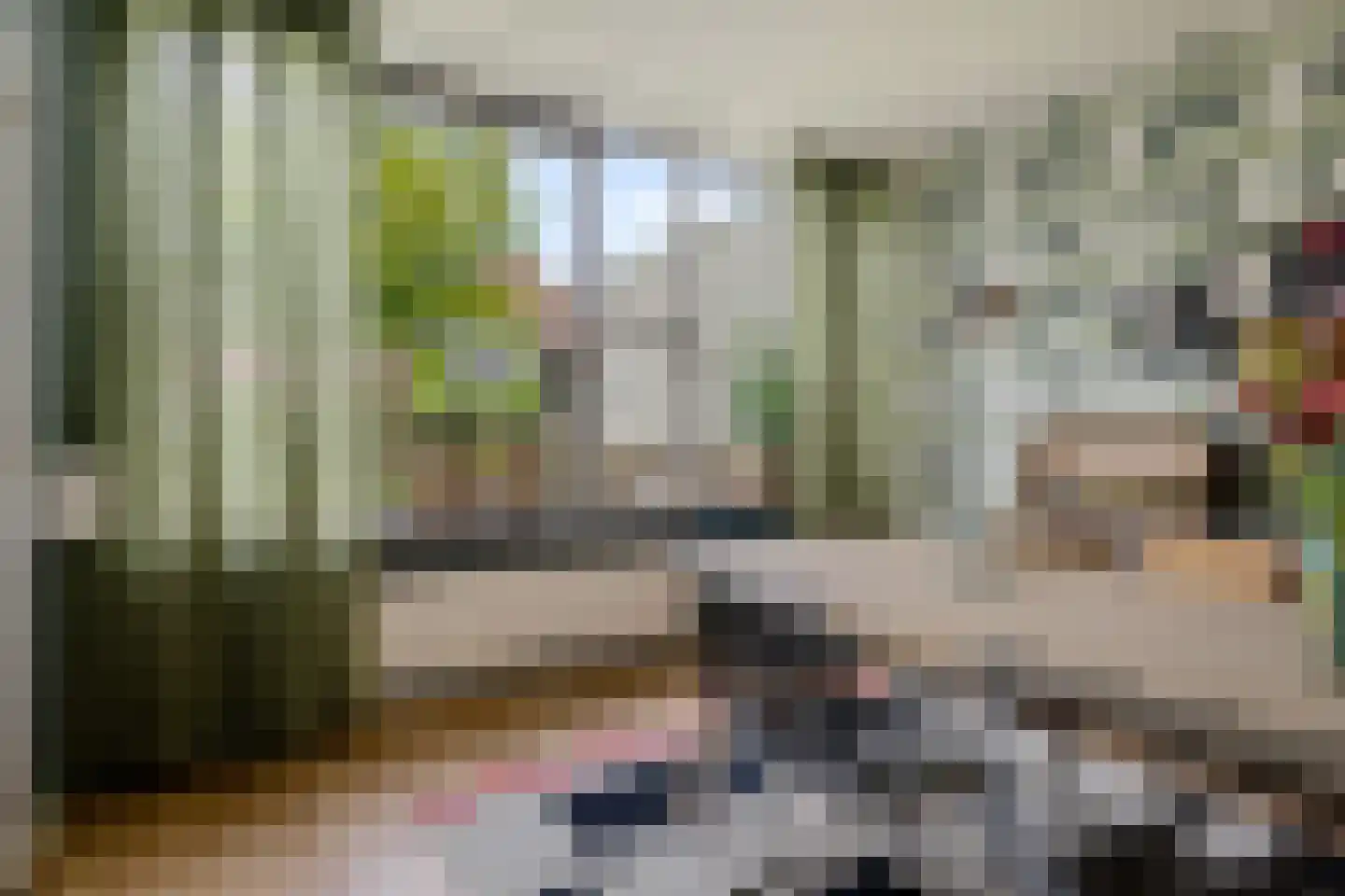 Gasthuislaan 7 Scheemda thumbnail 15