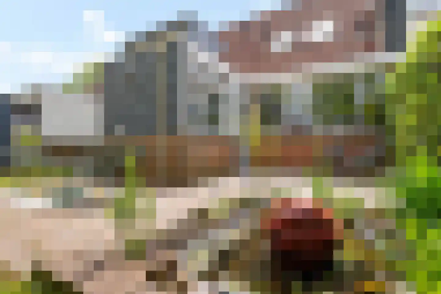 Gasthuislaan 7 Scheemda thumbnail 28