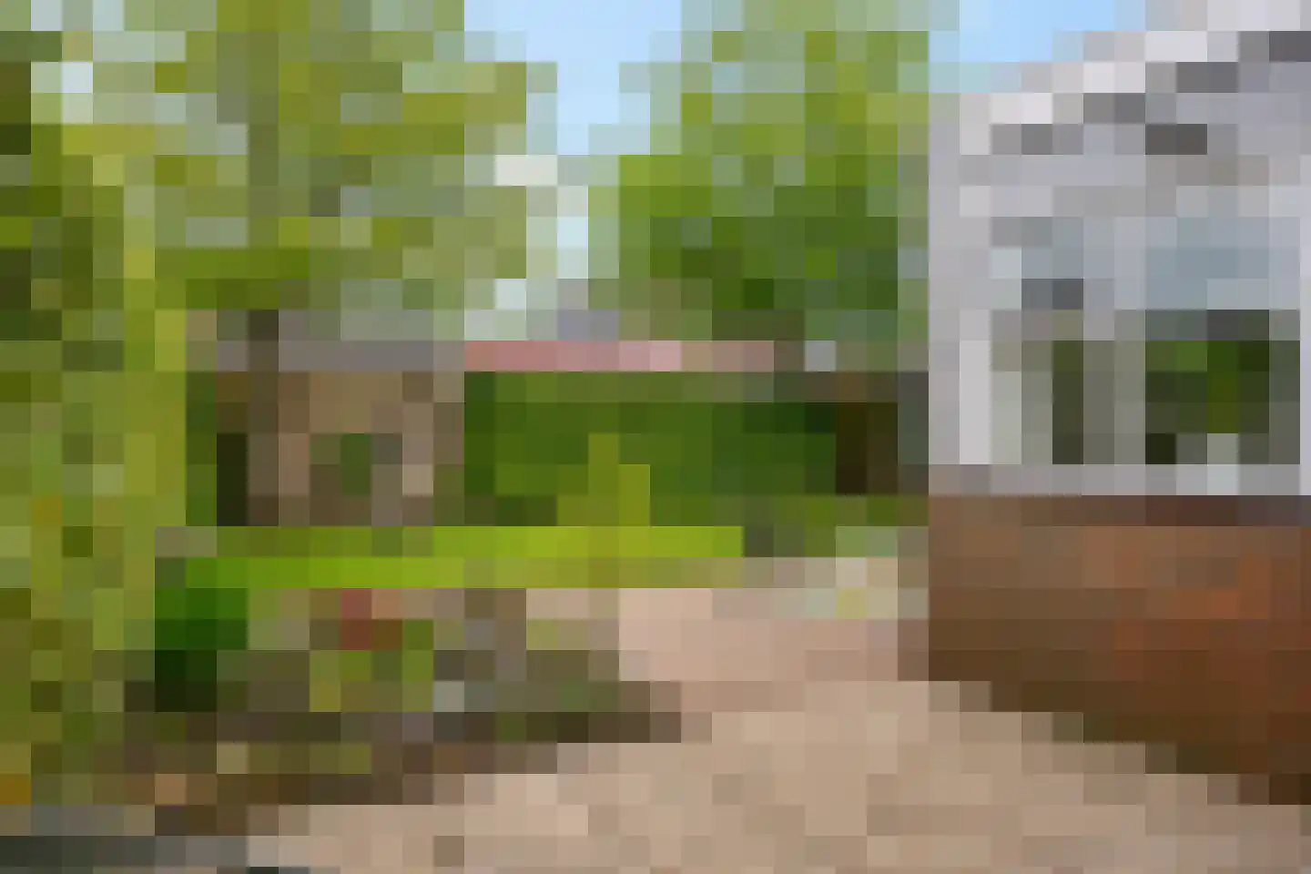 Gasthuislaan 7 Scheemda thumbnail 31