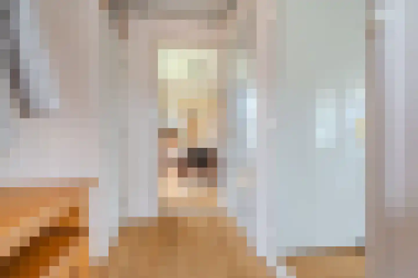 Gasthuislaan 8 Scheemda thumbnail 8
