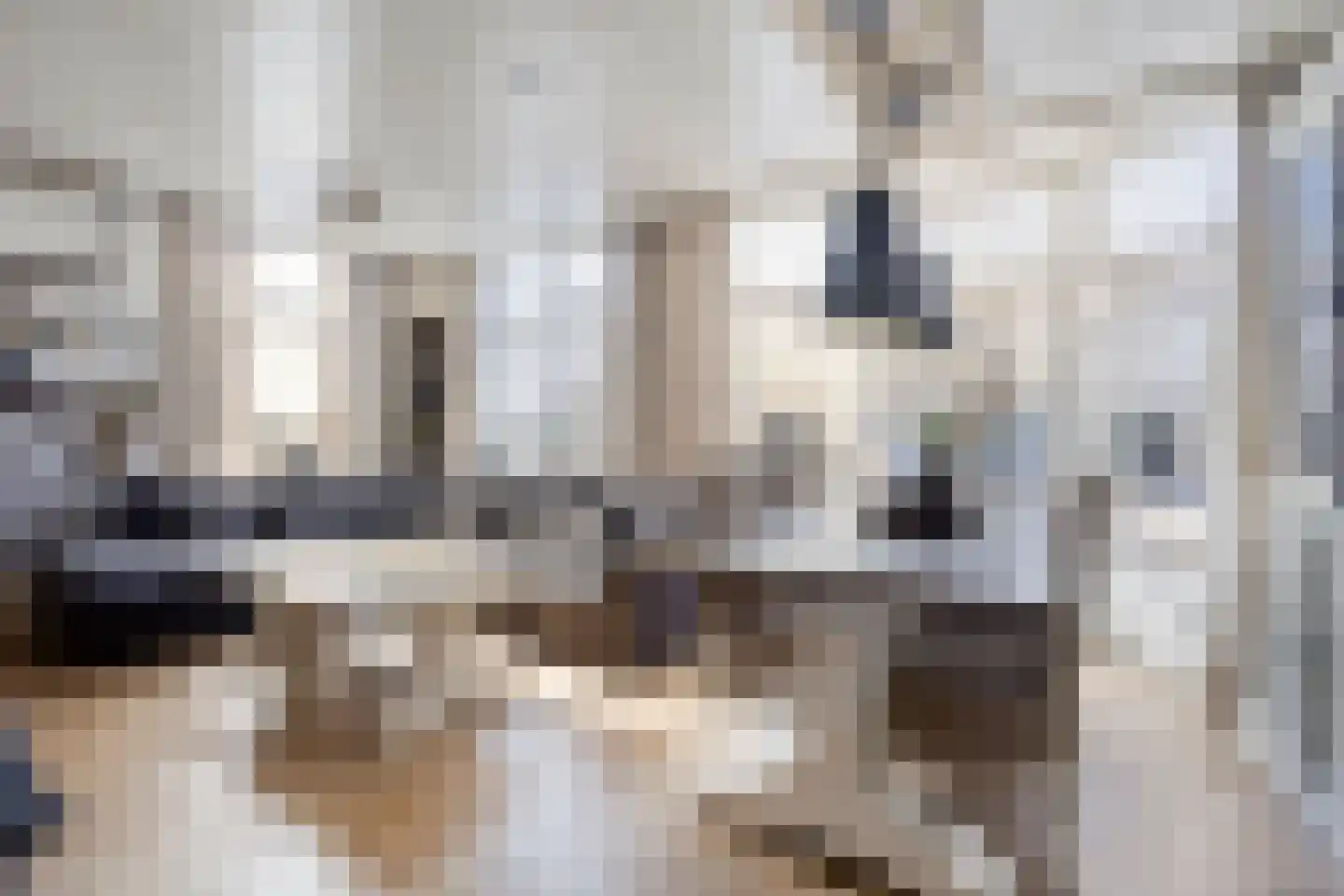 Gasthuislaan 8 Winschoten thumbnail 13