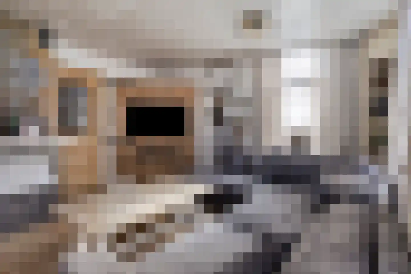 Gasthuislaan 8 Winschoten thumbnail 17
