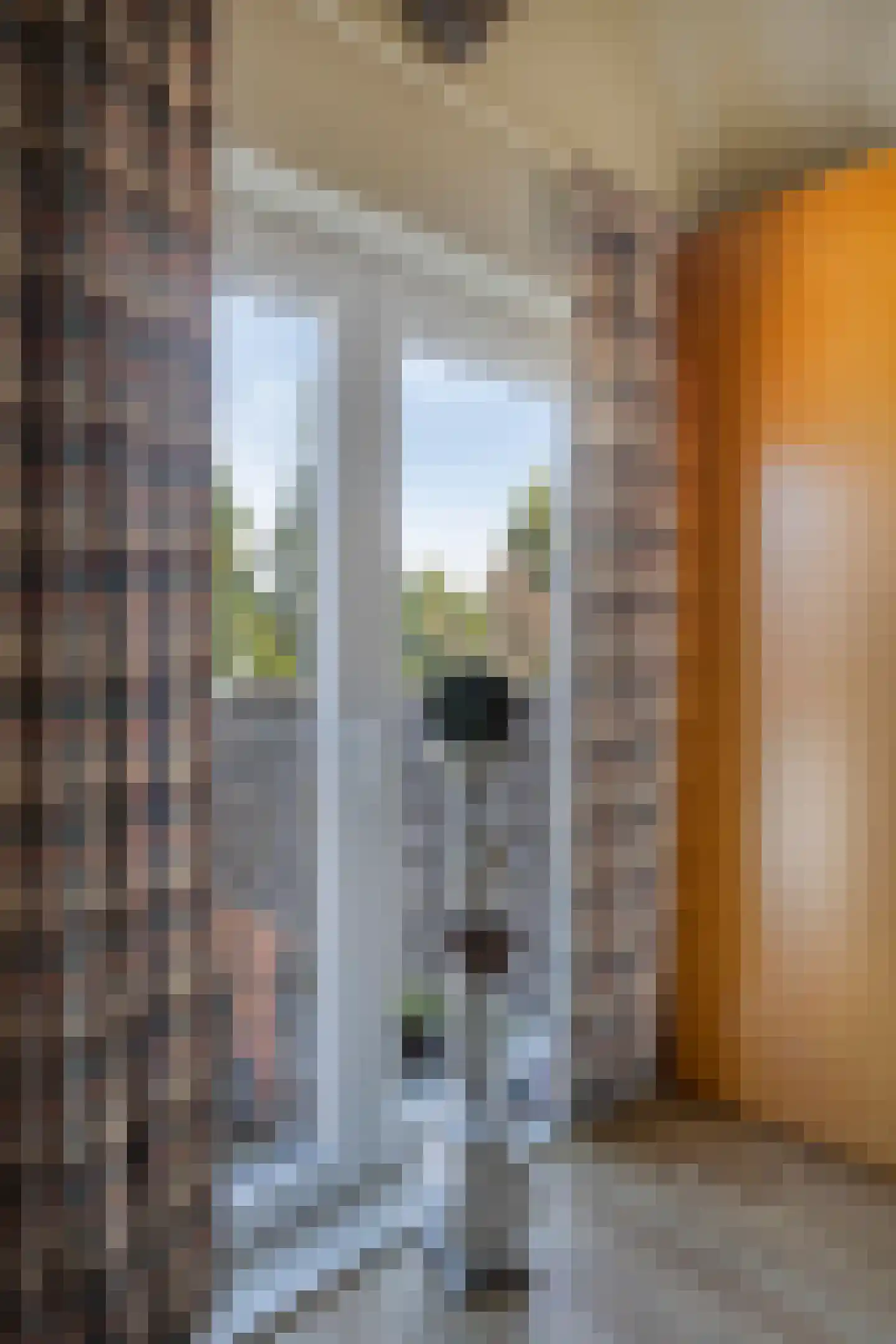 Gasthuislaan 8 Winschoten thumbnail 35
