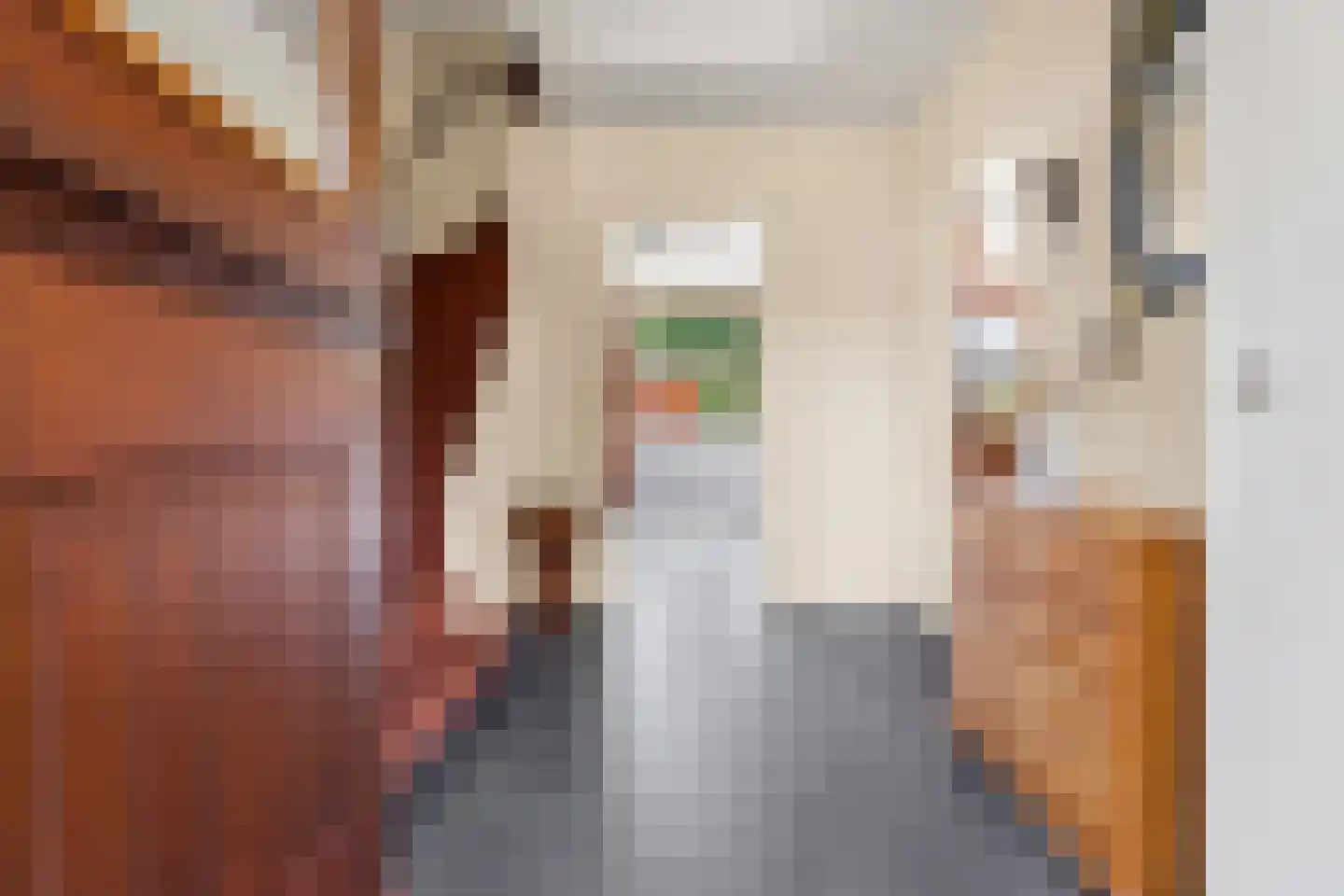 Gasthuislaan 83 Velp thumbnail 11