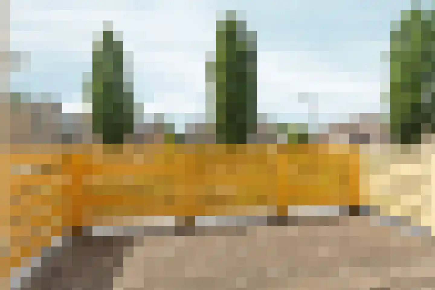 Gasthuislaan 83 Velp thumbnail 28