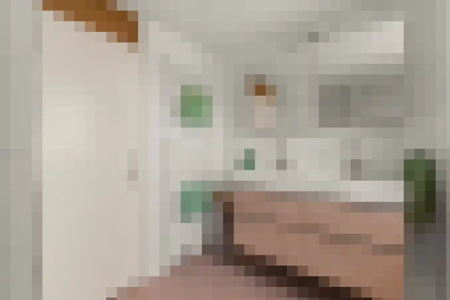 Gasthuislaan 83 Velp thumbnail 35