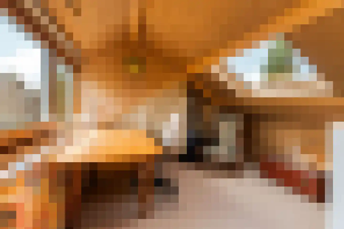 Gasthuislaan 83 Velp thumbnail 38