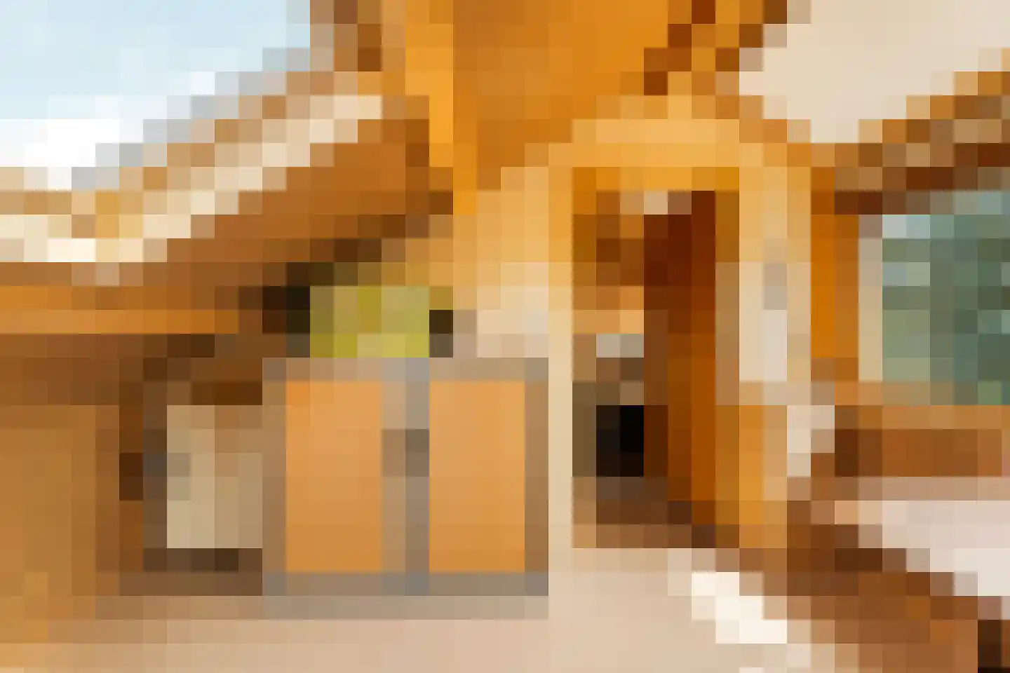 Gasthuislaan 83 Velp thumbnail 39