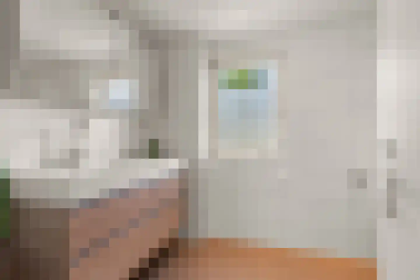 Gasthuislaan 83 Velp thumbnail 4
