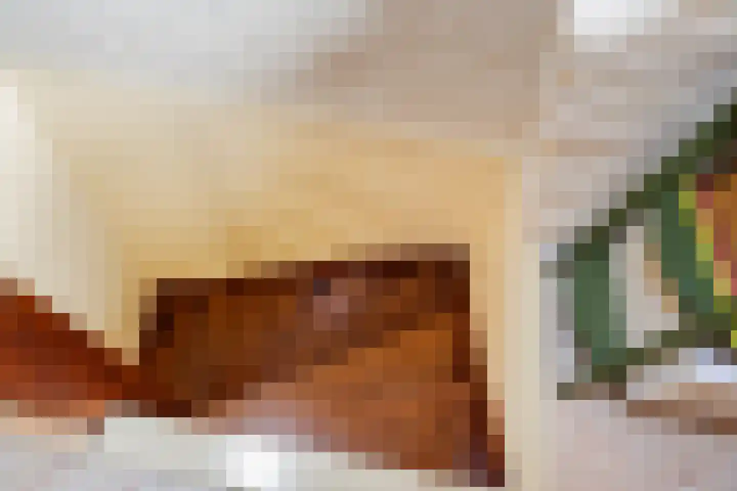 Gasthuislaan 83 Velp thumbnail 42