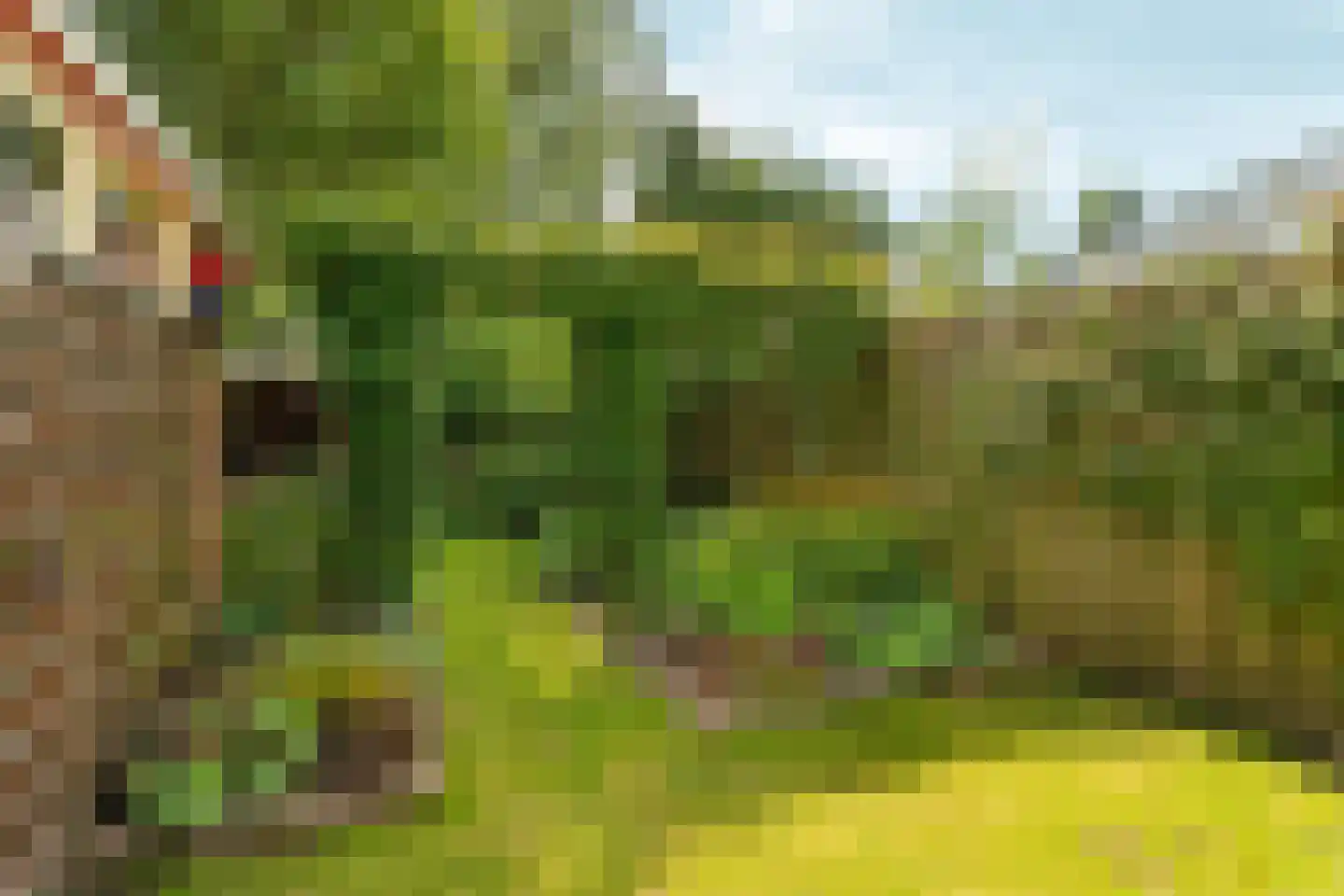 Gasthuislaan 83 Velp thumbnail 47