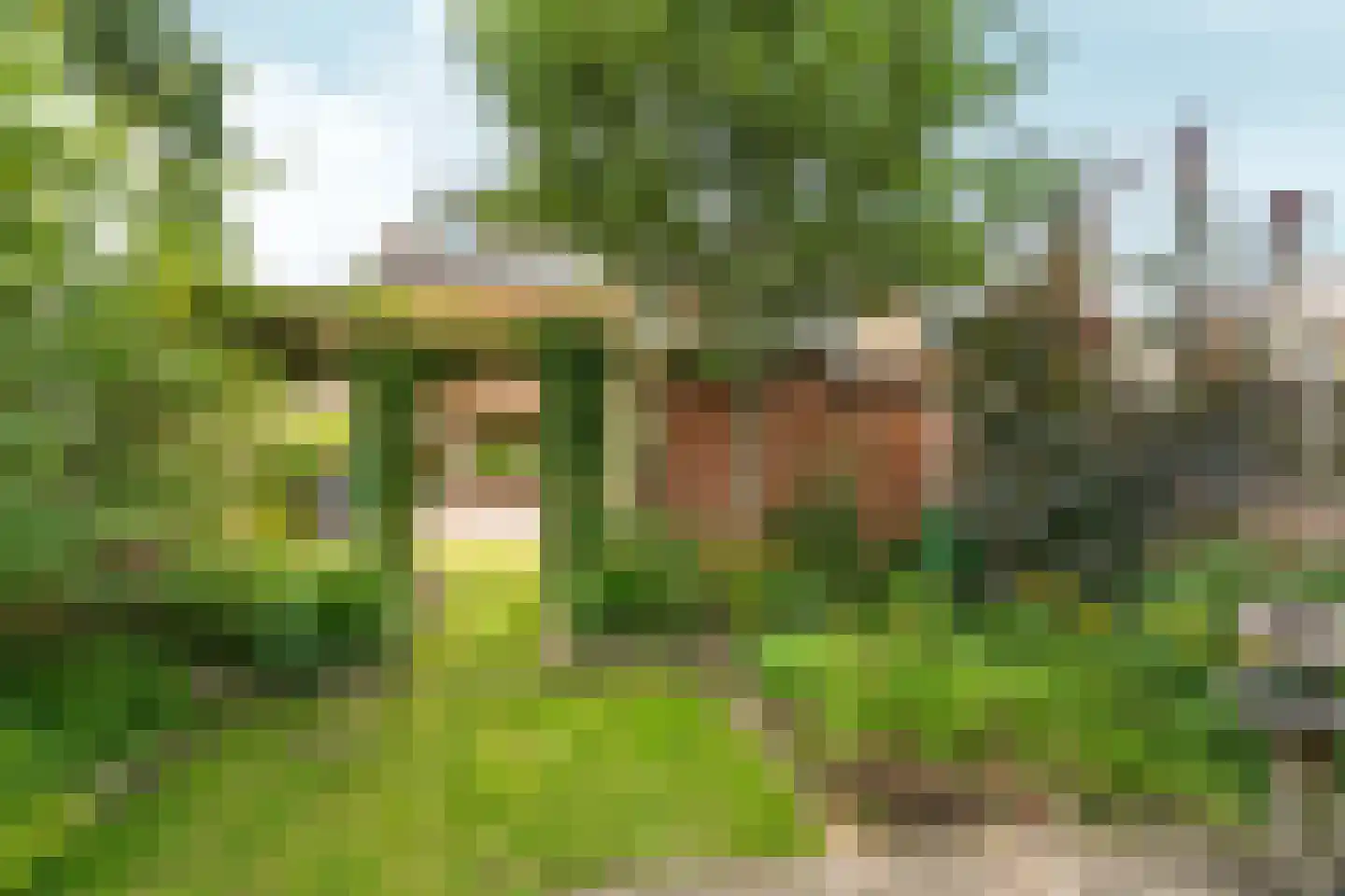 Gasthuislaan 83 Velp thumbnail 51