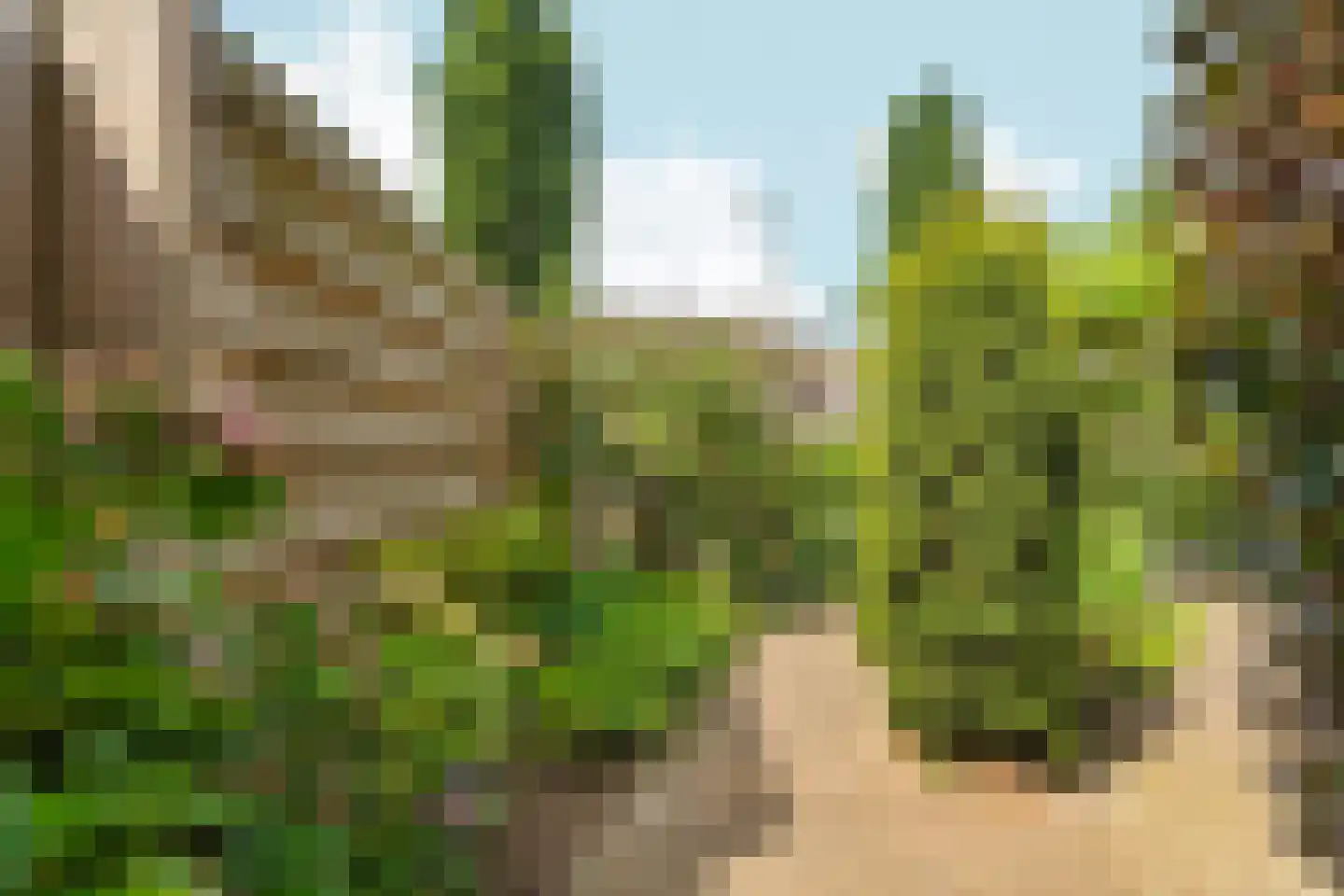 Gasthuislaan 83 Velp thumbnail 52
