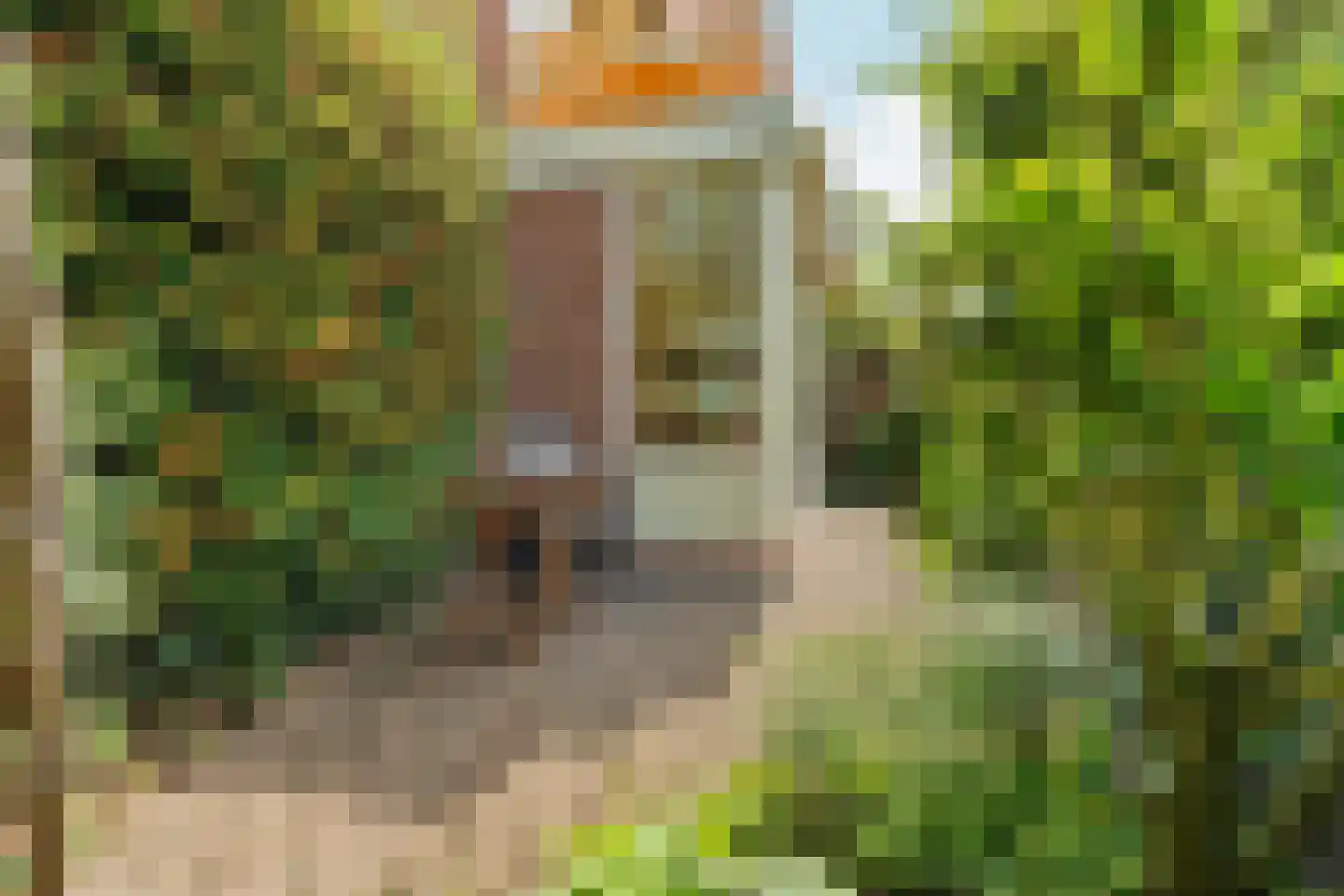 Gasthuislaan 83 Velp thumbnail 54