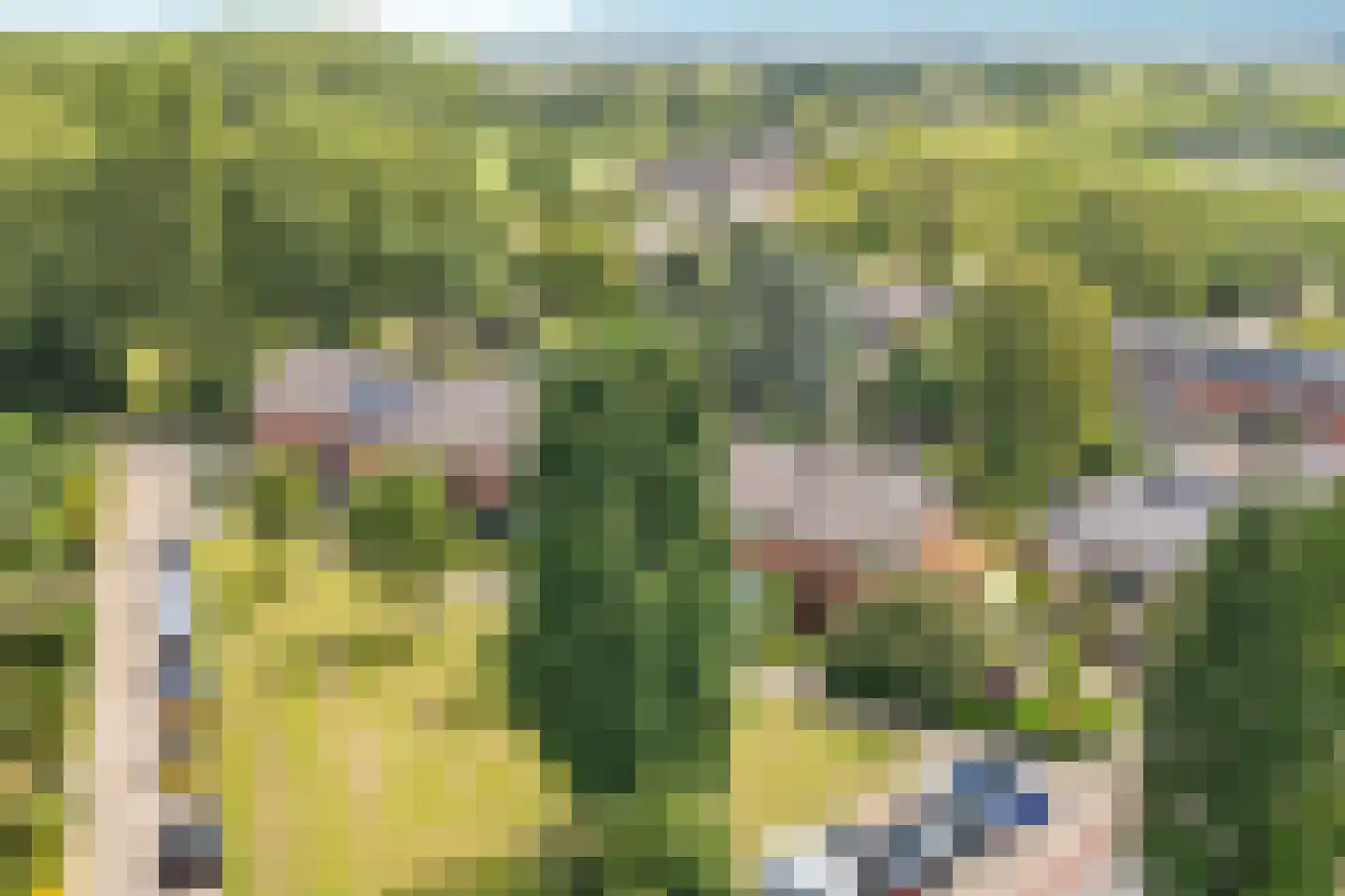 Gasthuislaan 83 Velp thumbnail 57