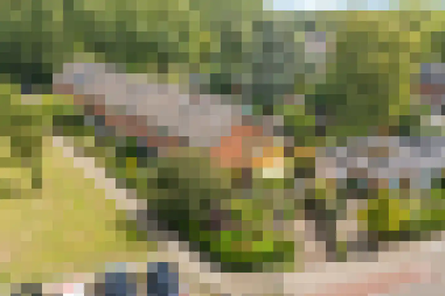 Gasthuislaan 83 Velp thumbnail 58