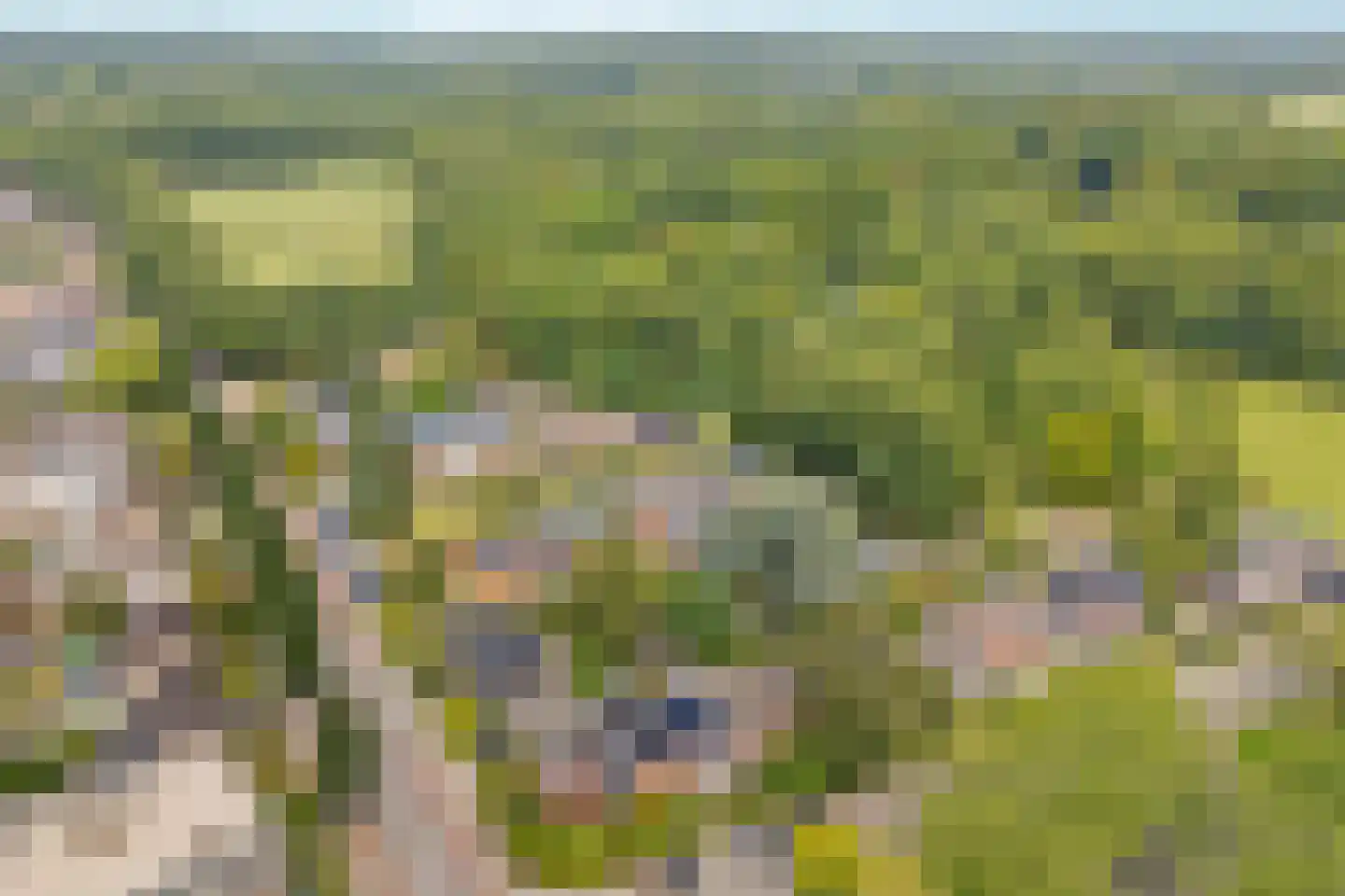 Gasthuislaan 83 Velp thumbnail 60