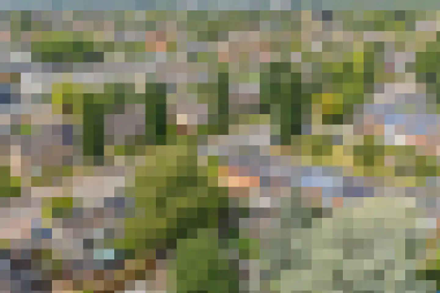 Gasthuislaan 83 Velp thumbnail 61